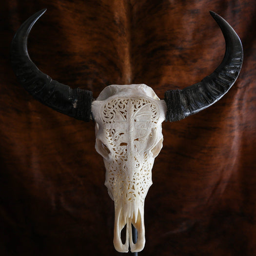 Buffalo Skull - Viking Carving
