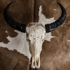 Buffalo Skull - Viking Carving