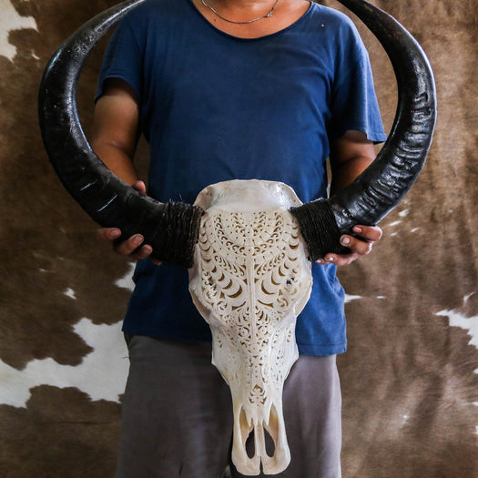 Buffalo Skull - Tribal Carving 1