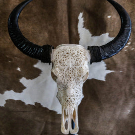 Buffalo Skull - Tribal Carving 3