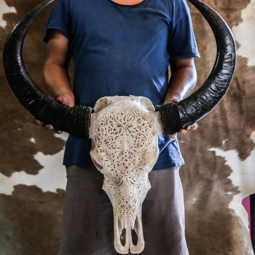 Buffalo Skull - Tribal Carving 3