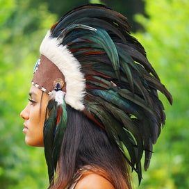 Black Feather Headdress