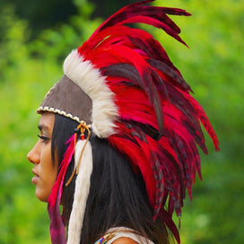Red Feather Headdress
