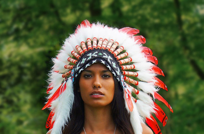 Beauty with a Purpose: The Force Behind Native American Feathers – Indian  Headdress - Novum Crafts