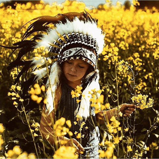 native american feather hat