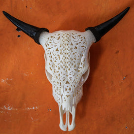 Cow Skull - Celtic