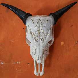 Cow Skull - Indian Eagles